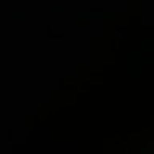 Meet your Posher, Viki